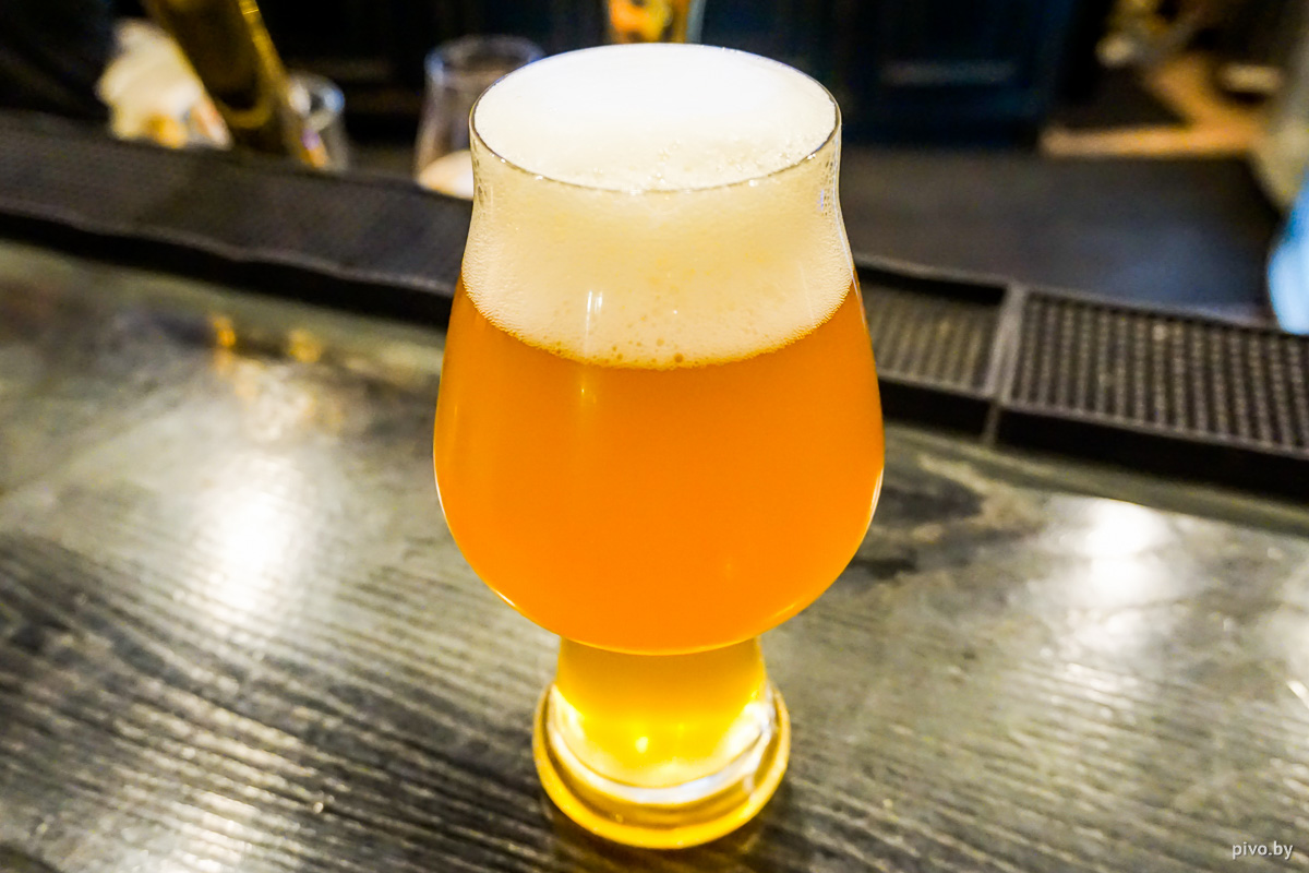 Jungle Brewery Follow the White Rabbit