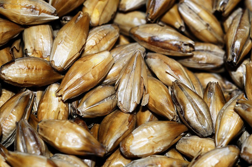 Ячменный солод