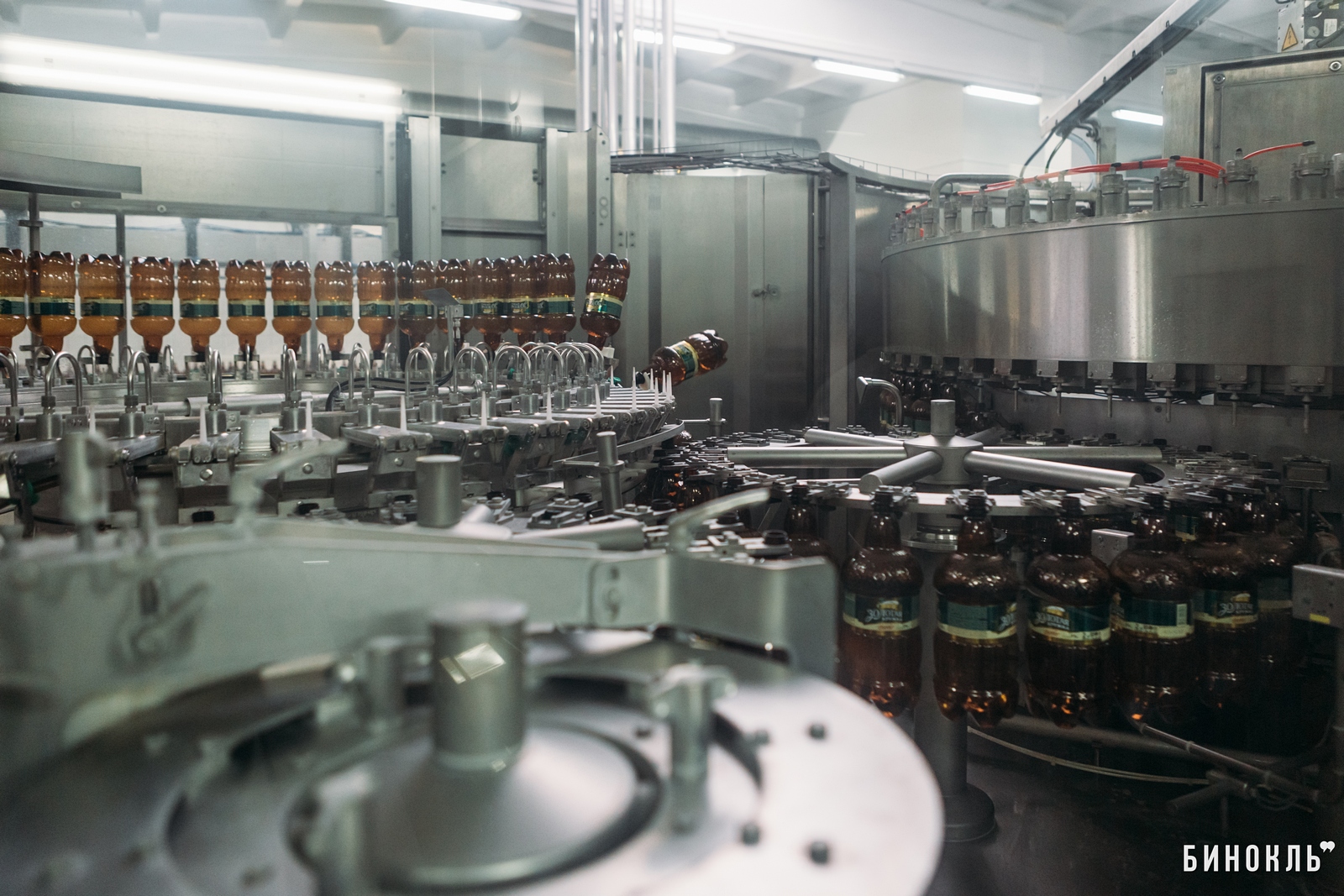 Брестское пиво