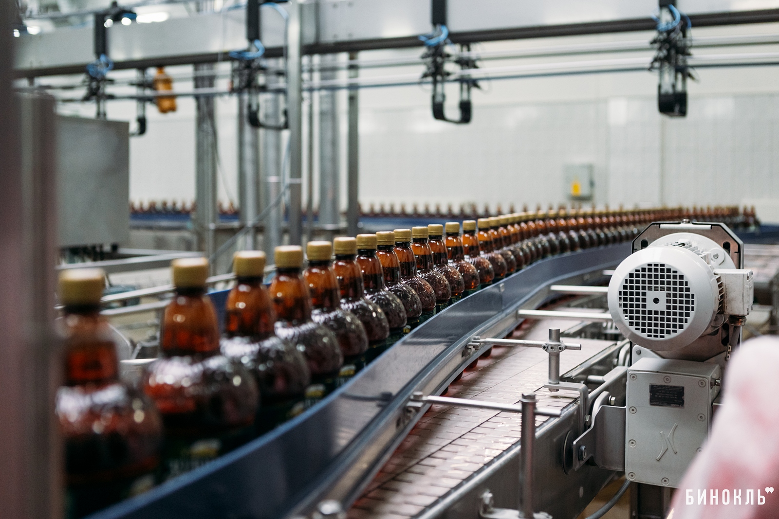 Брестское пиво