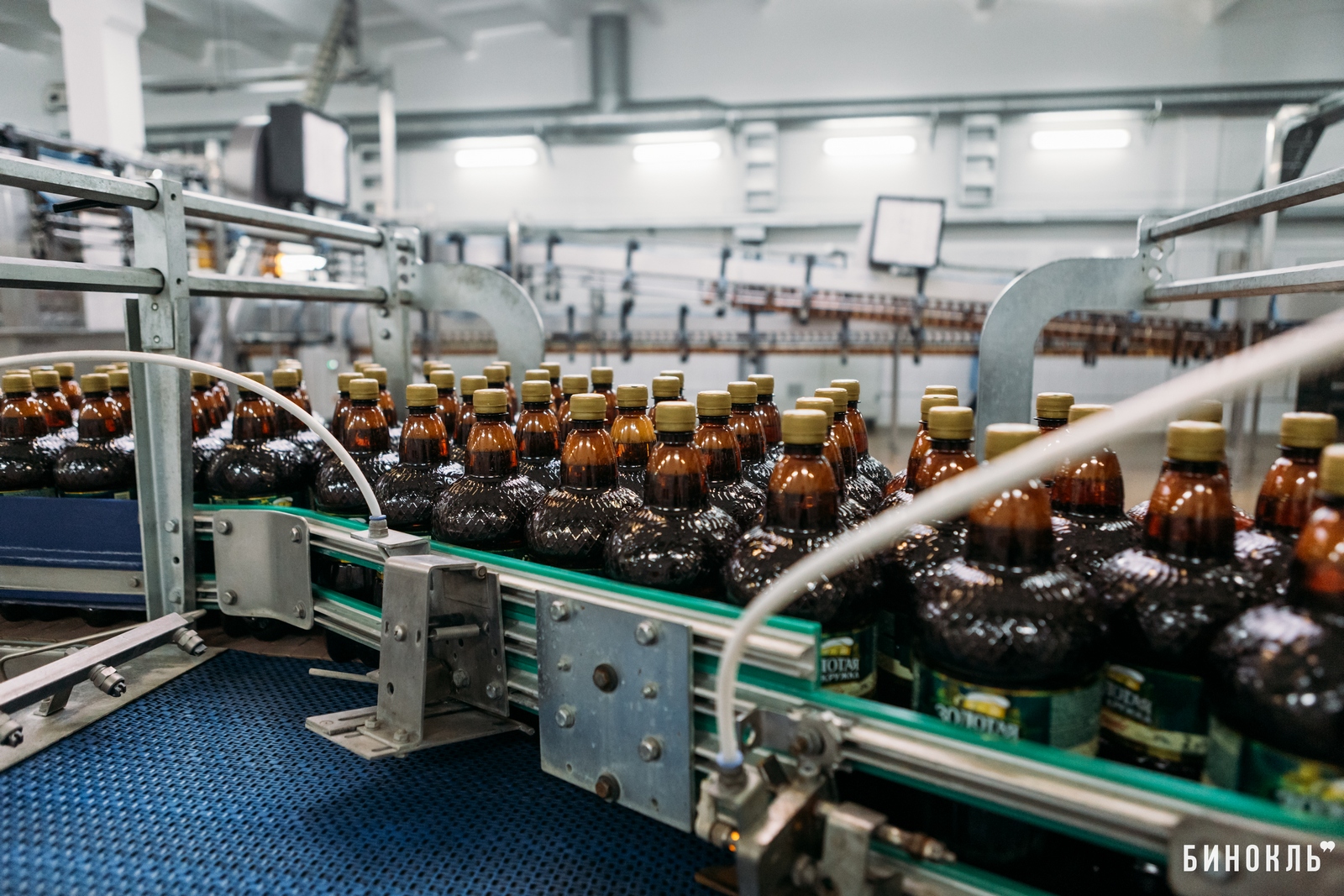 Брестское пиво