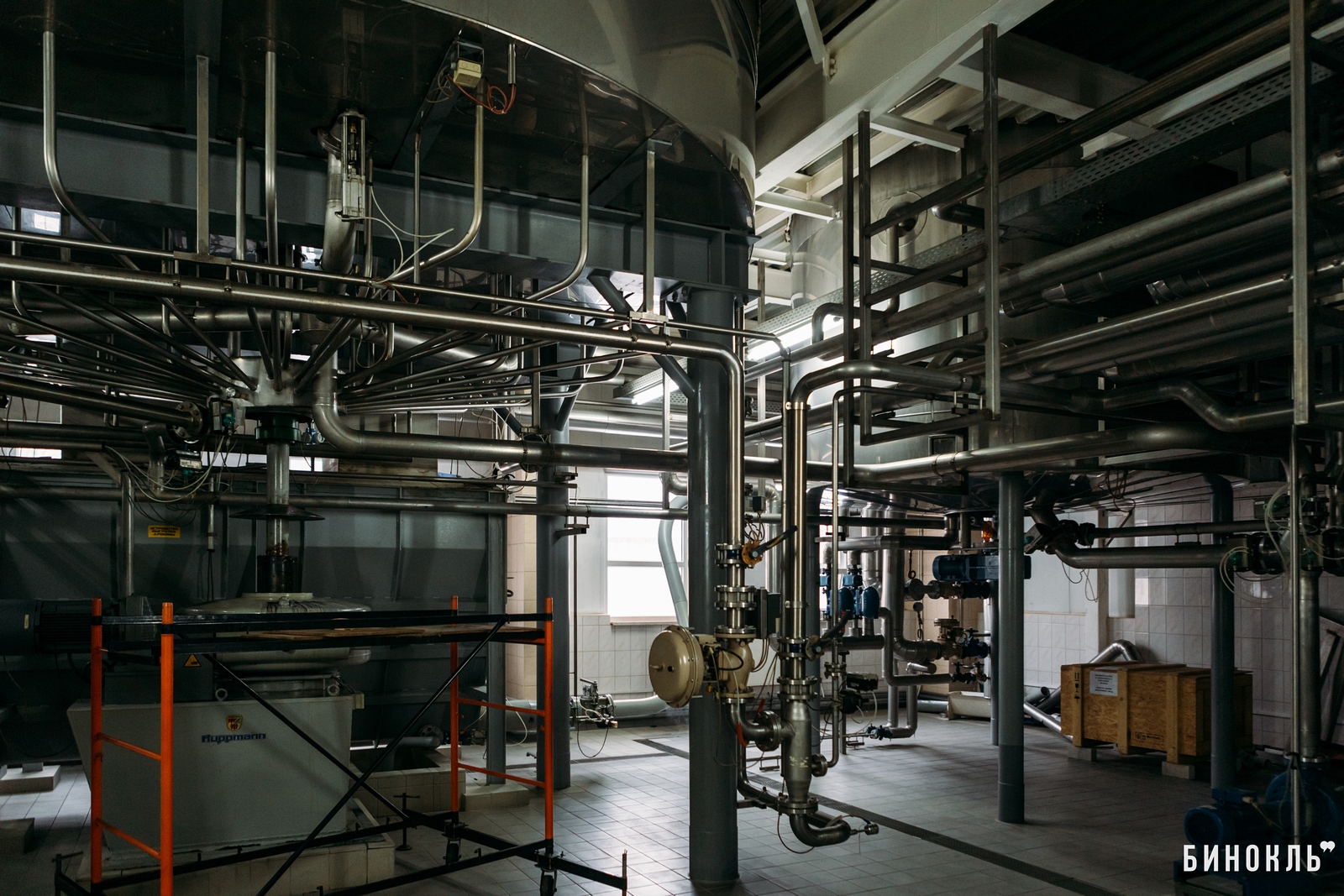 Брестское пиво