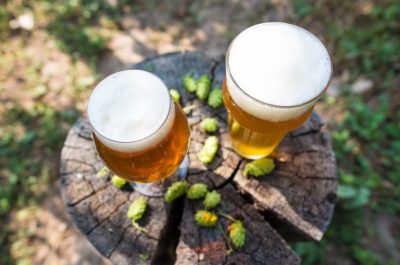 IPA