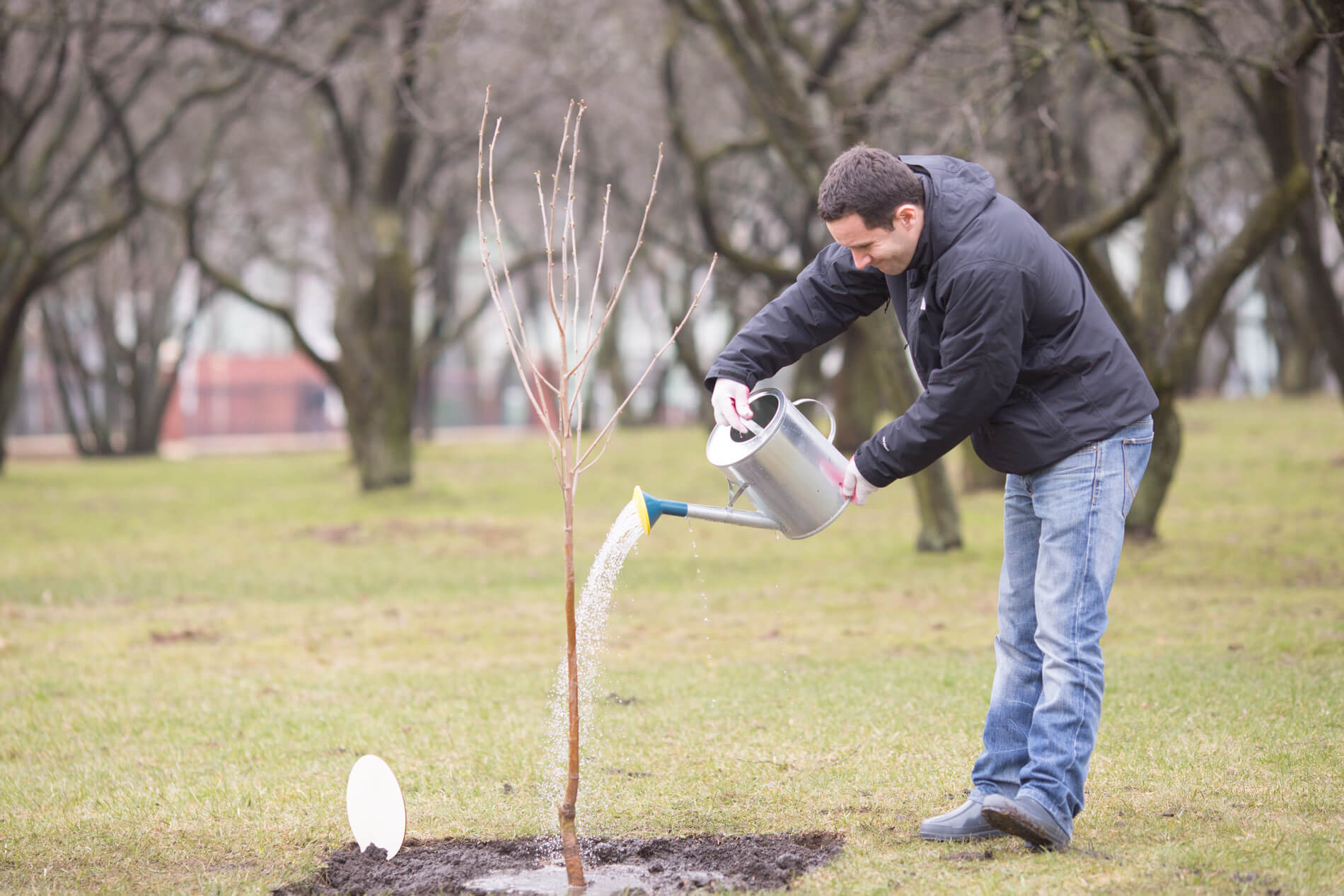 Вишнёвый сад от Лидского пива