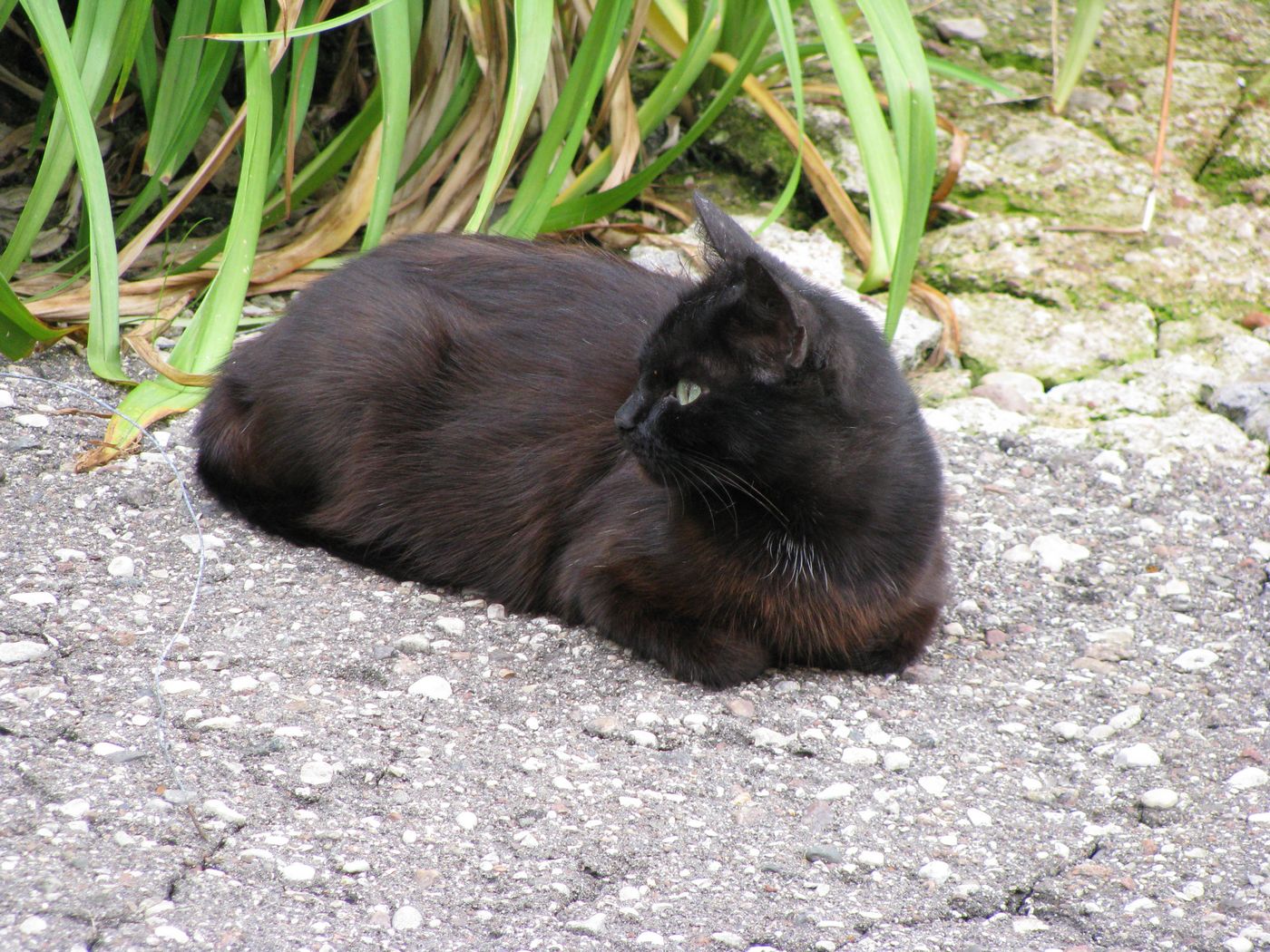 Гродненский пивзавод в 1998 году