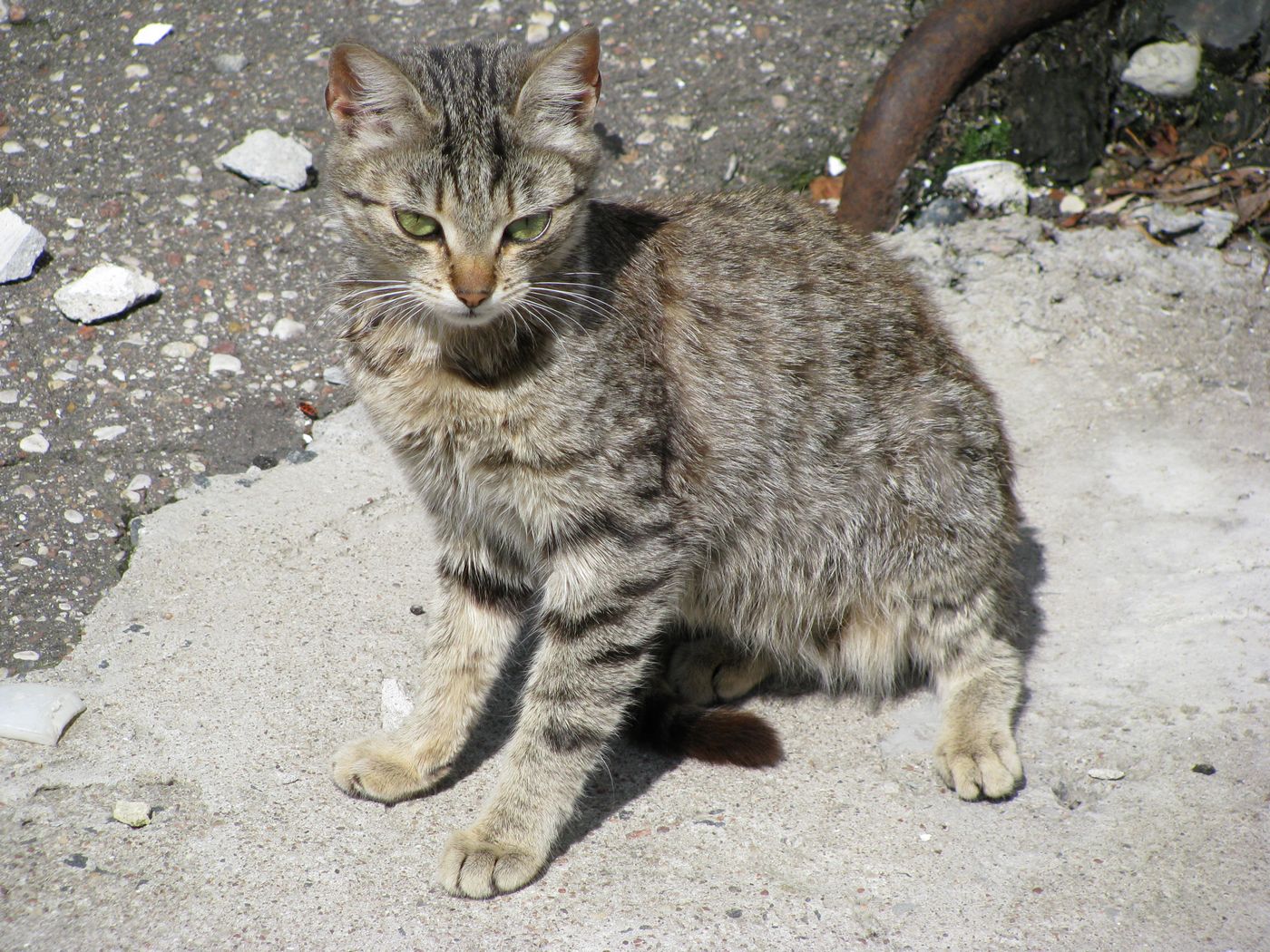 Гродненский пивзавод в 1998 году