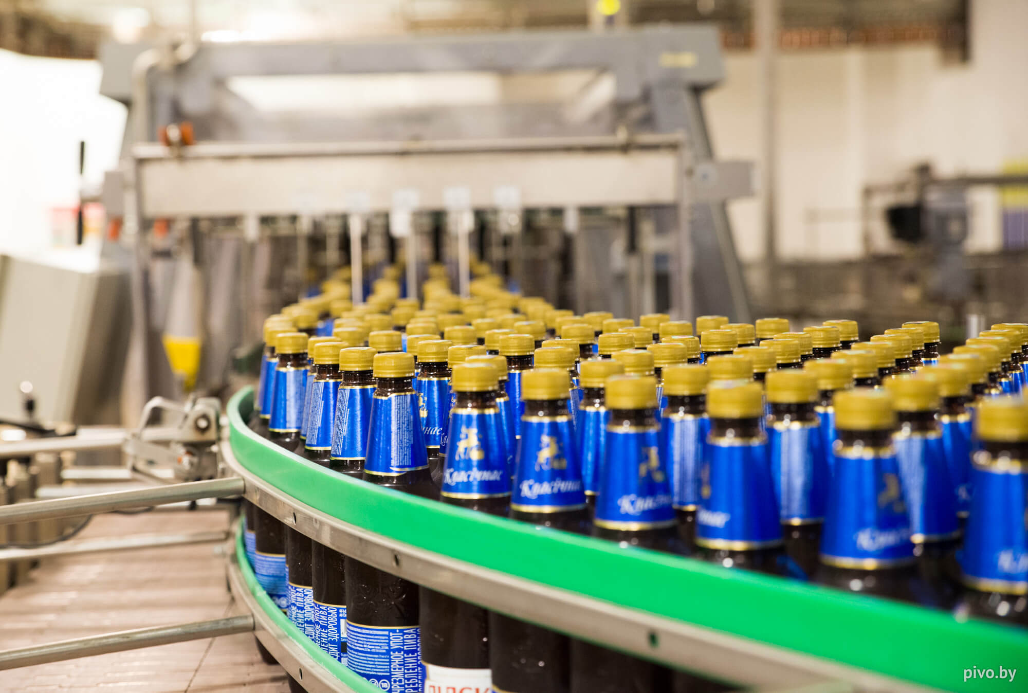 «Лидское пиво» увеличило продажи пива на 8,2% — Pivo.by