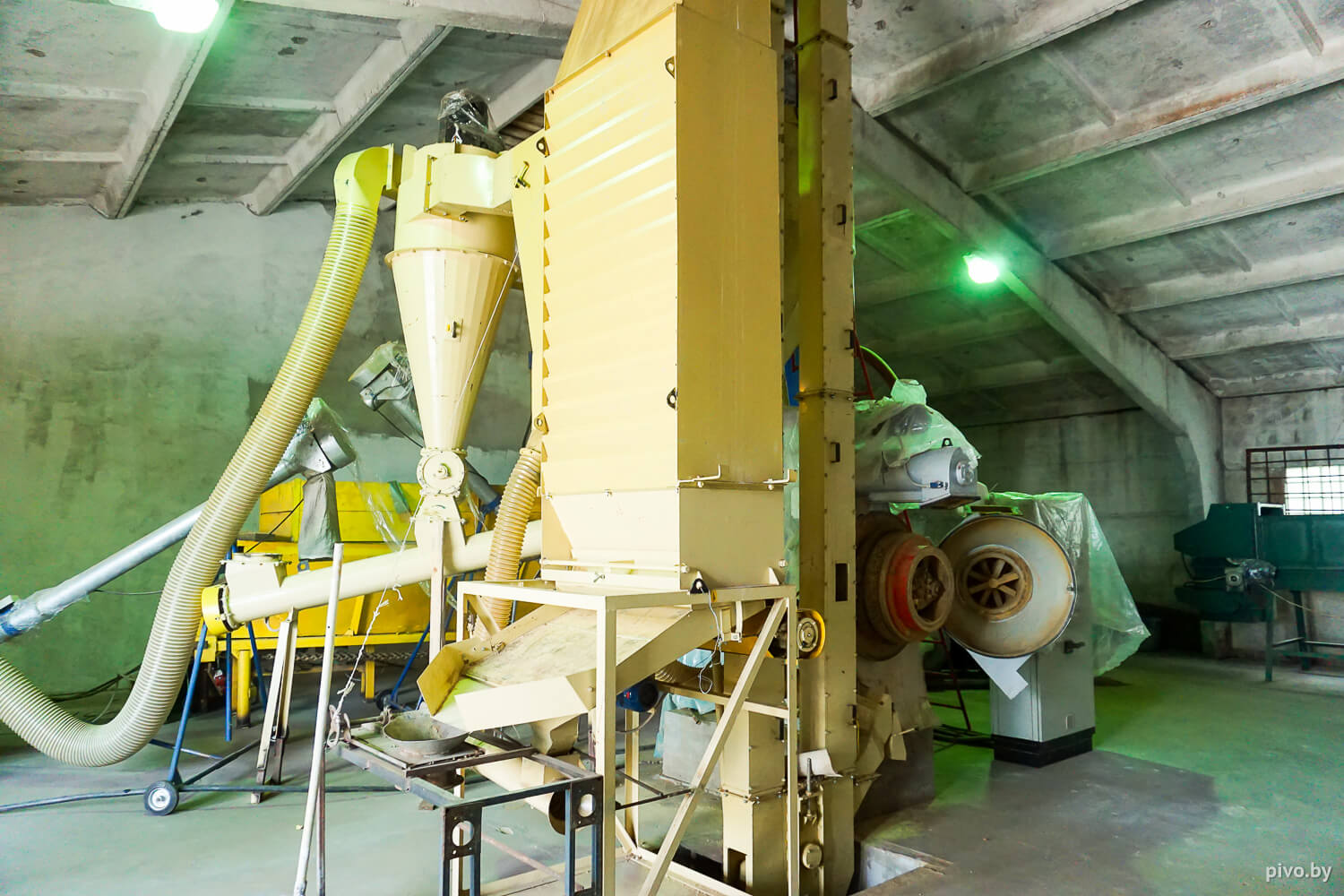 Белорусский хмель