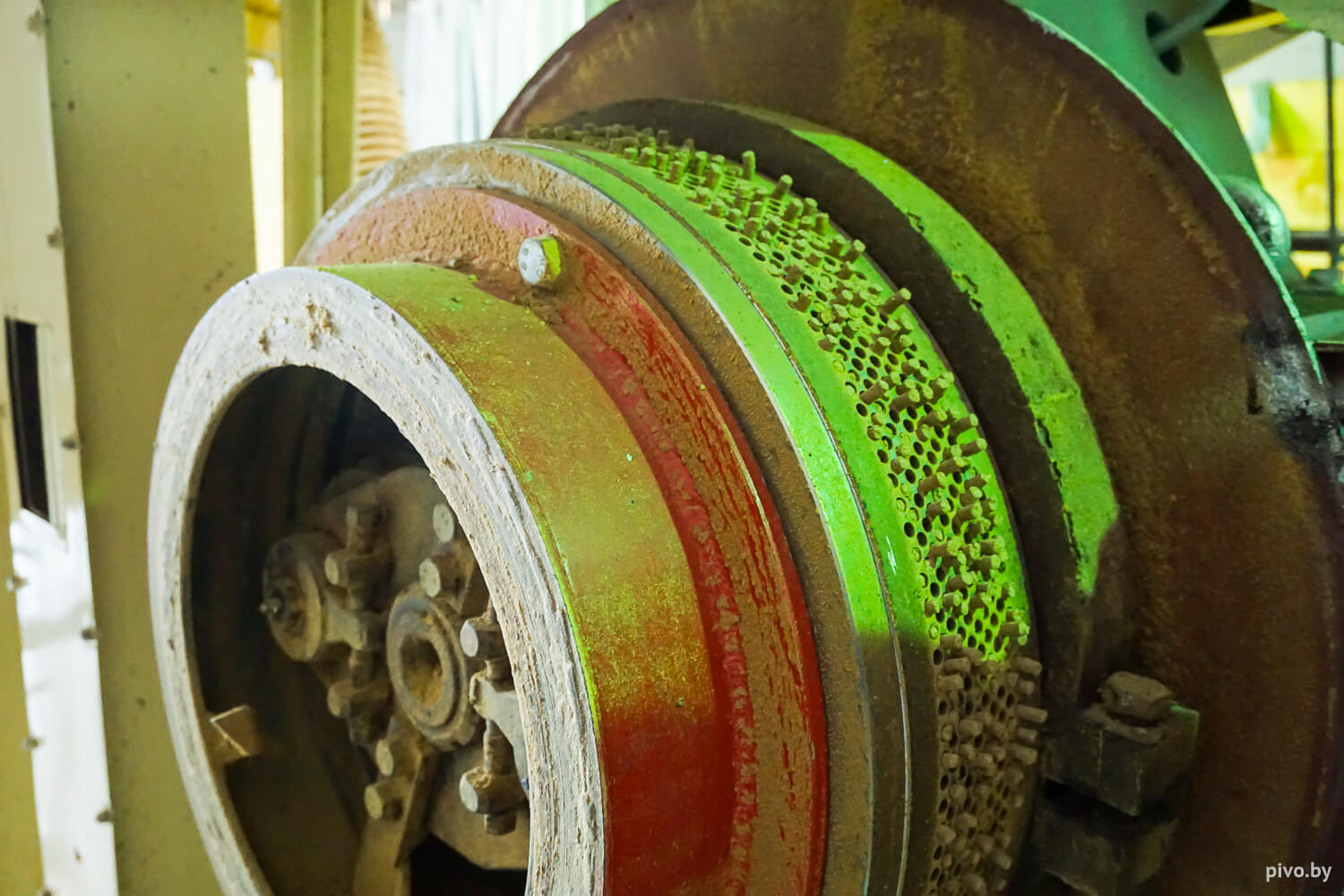 Белорусский хмель