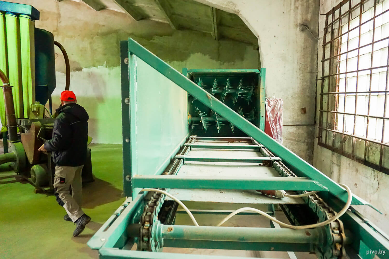 Белорусский хмель