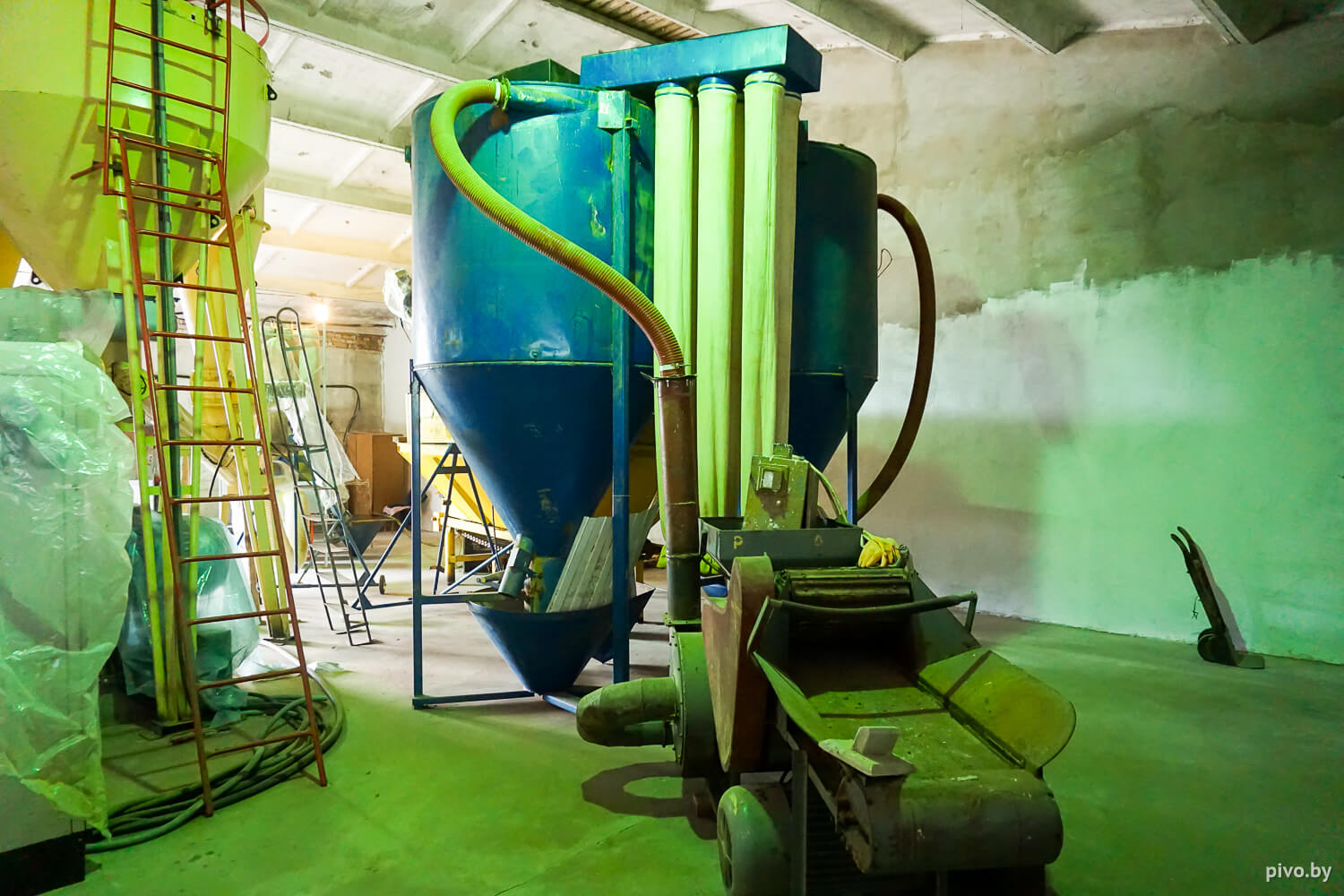 Белорусский хмель