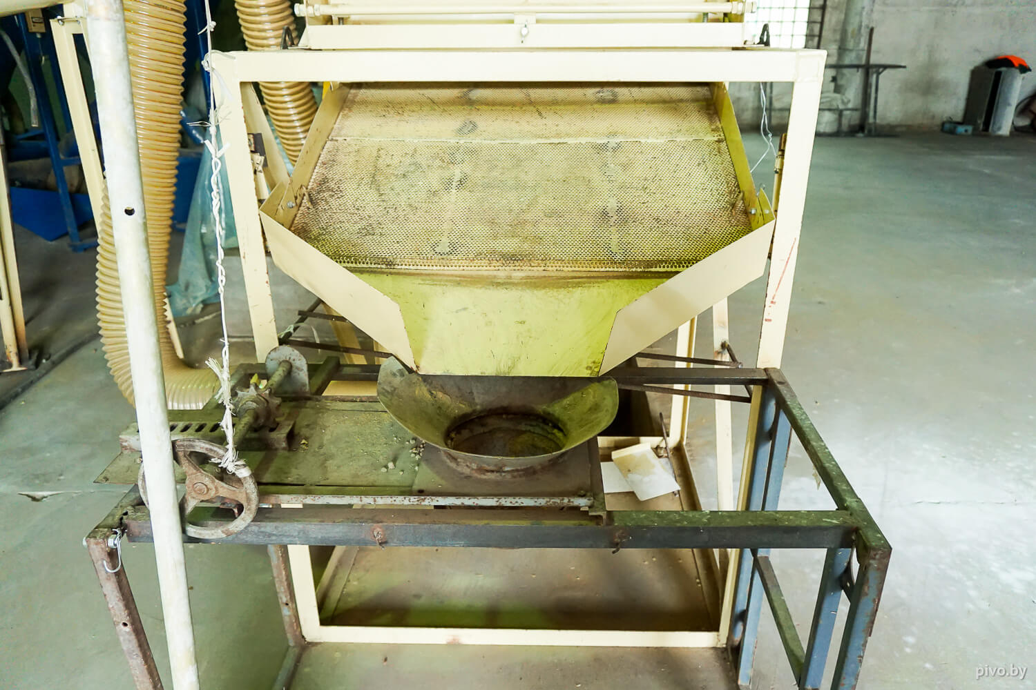 Белорусский хмель