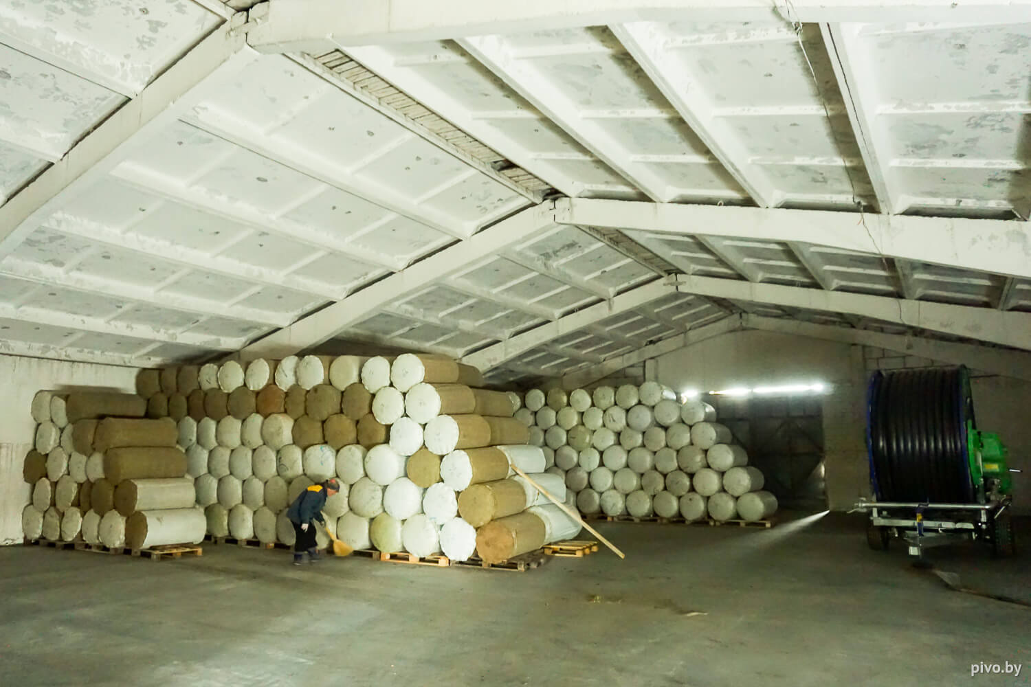 Белорусский хмель