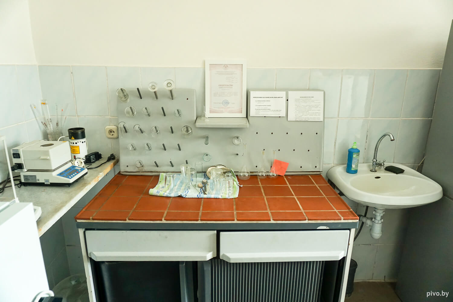 Белорусский хмель