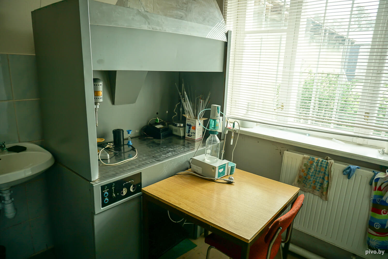 Белорусский хмель