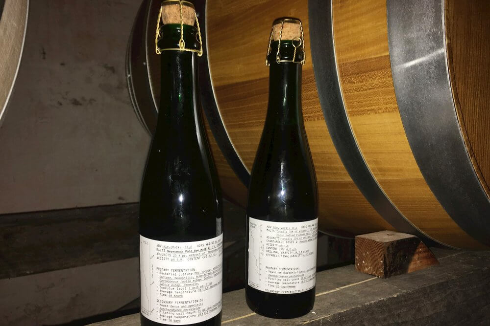 Chanterelle Lager и Jacobsen Sour Rye