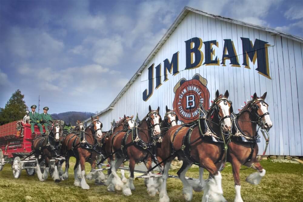 Budweiser & Jim Beam