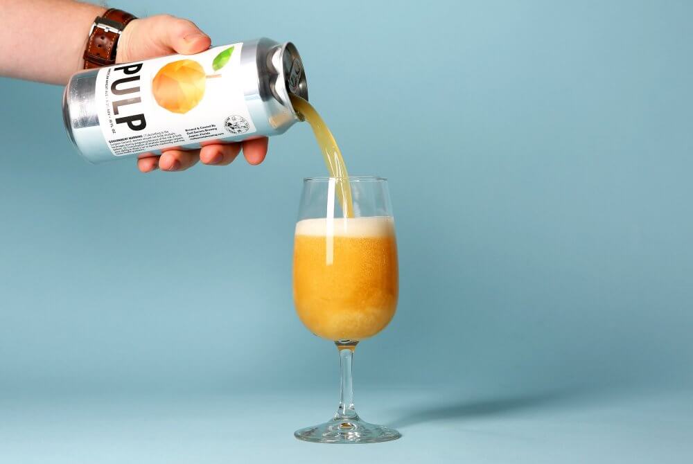 Civil Society — Pulp