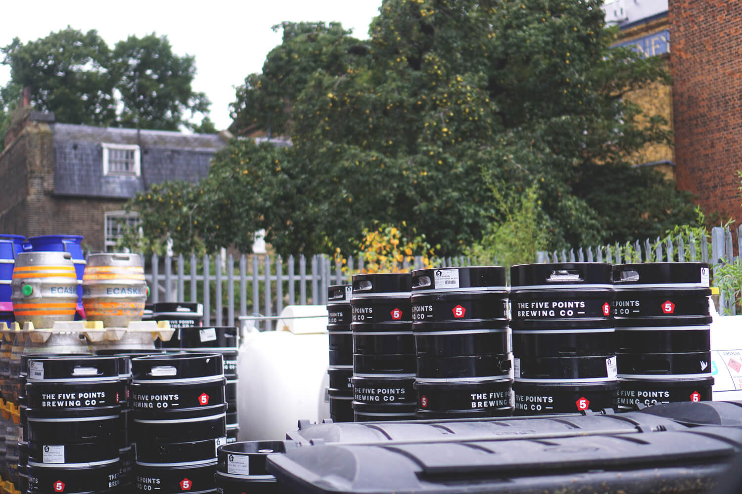 The Five Points Brewing Company