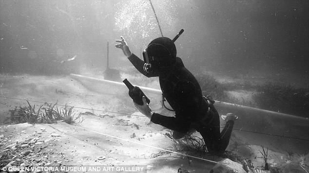 The Wreck — Preservation Ale