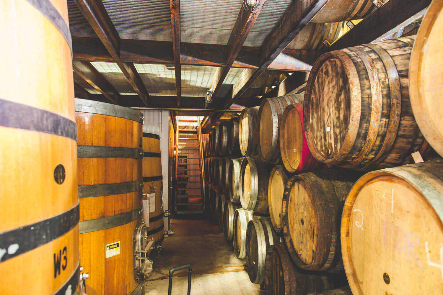 Jester King