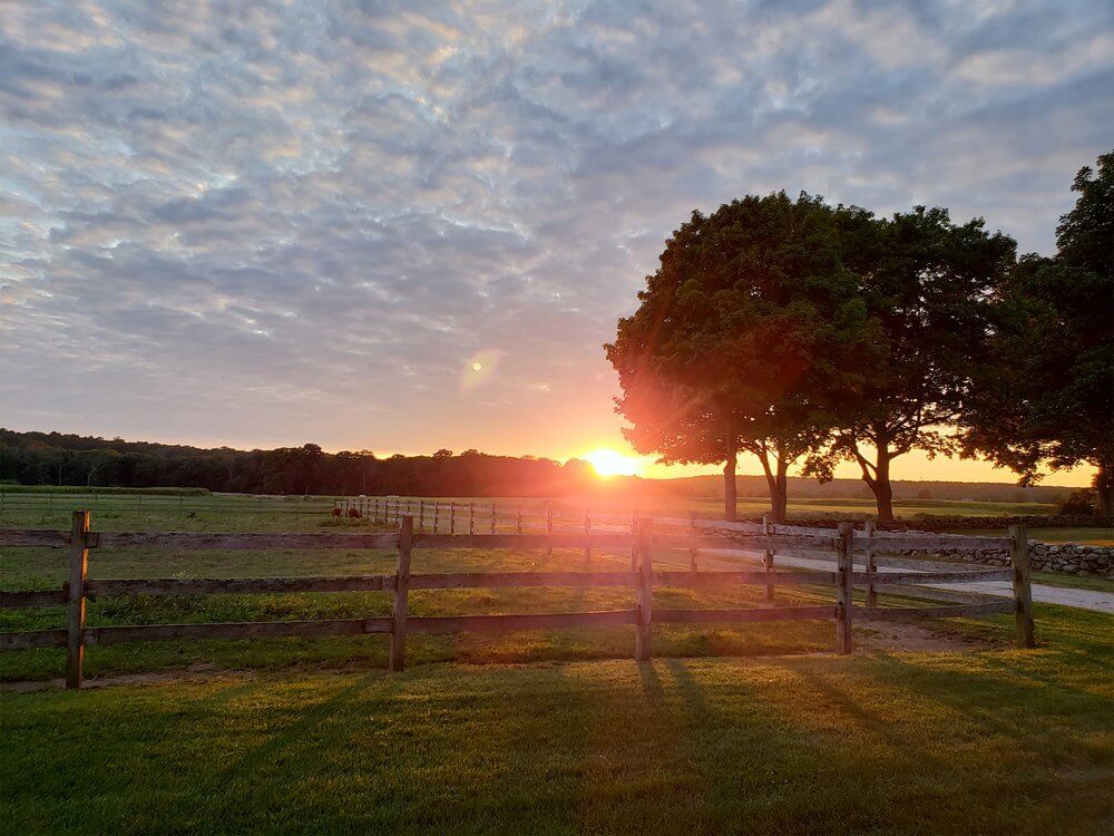 Ферма Trillium Brewing