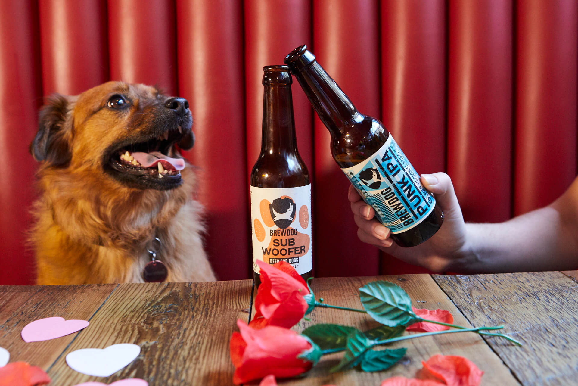 BrewDog — Just the Two of Us
