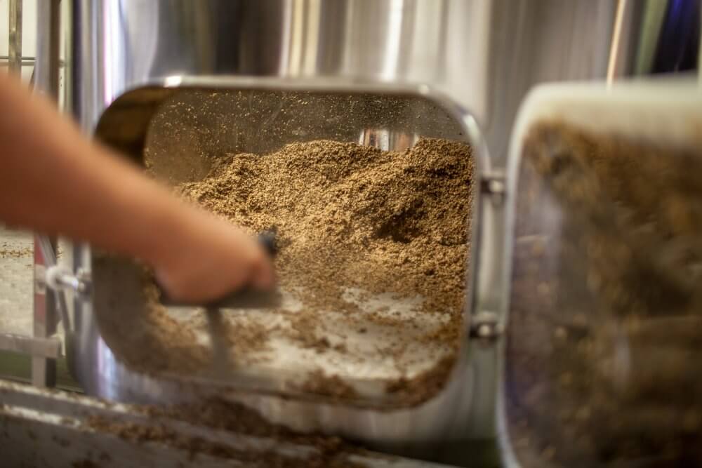 Солодовая дробина