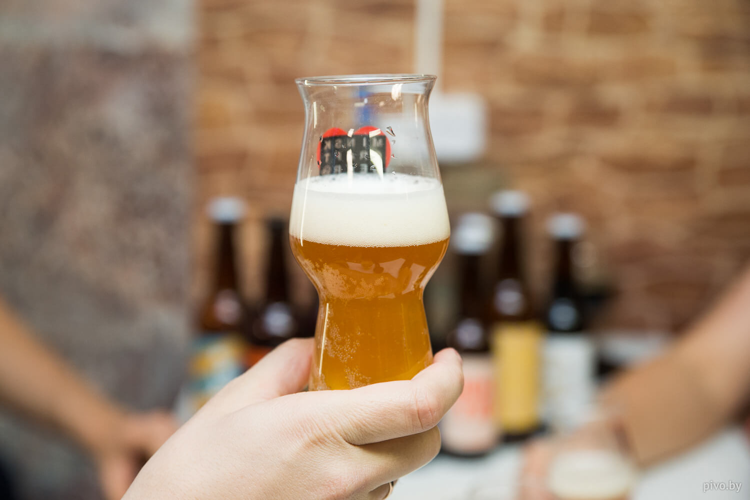 Дегустация пива Jaws