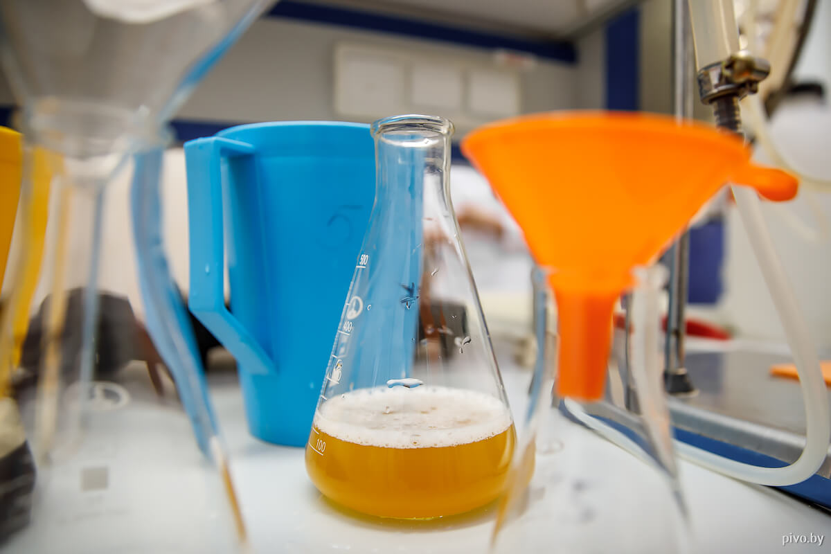 Староместный пивовар