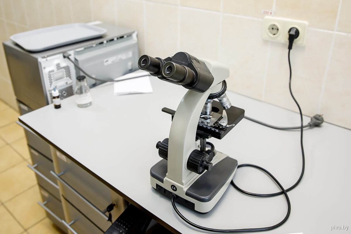 Староместный пивовар