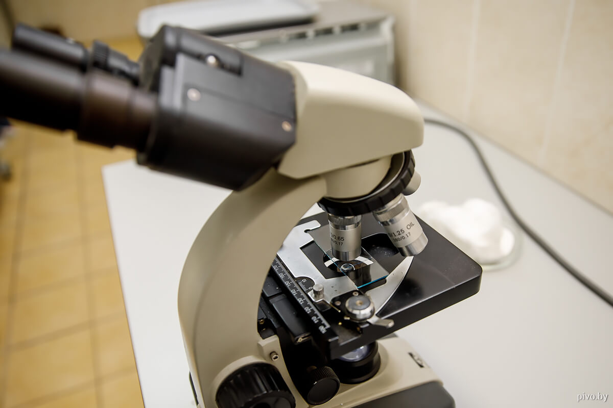 Староместный пивовар