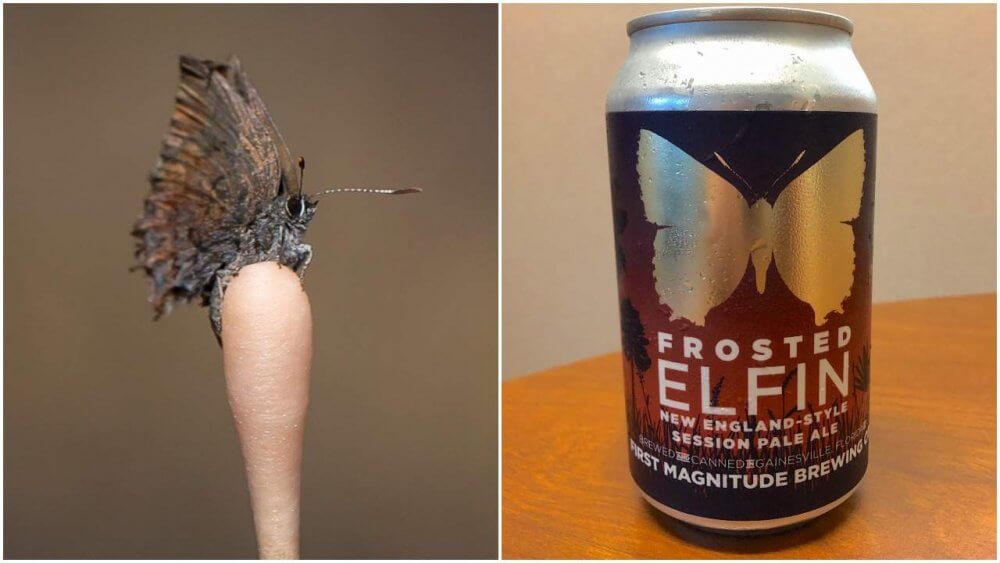 First Magnitude Brewing Company — Frosted Elfin