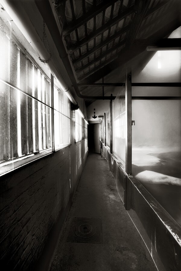 На пивоварне Timmermans