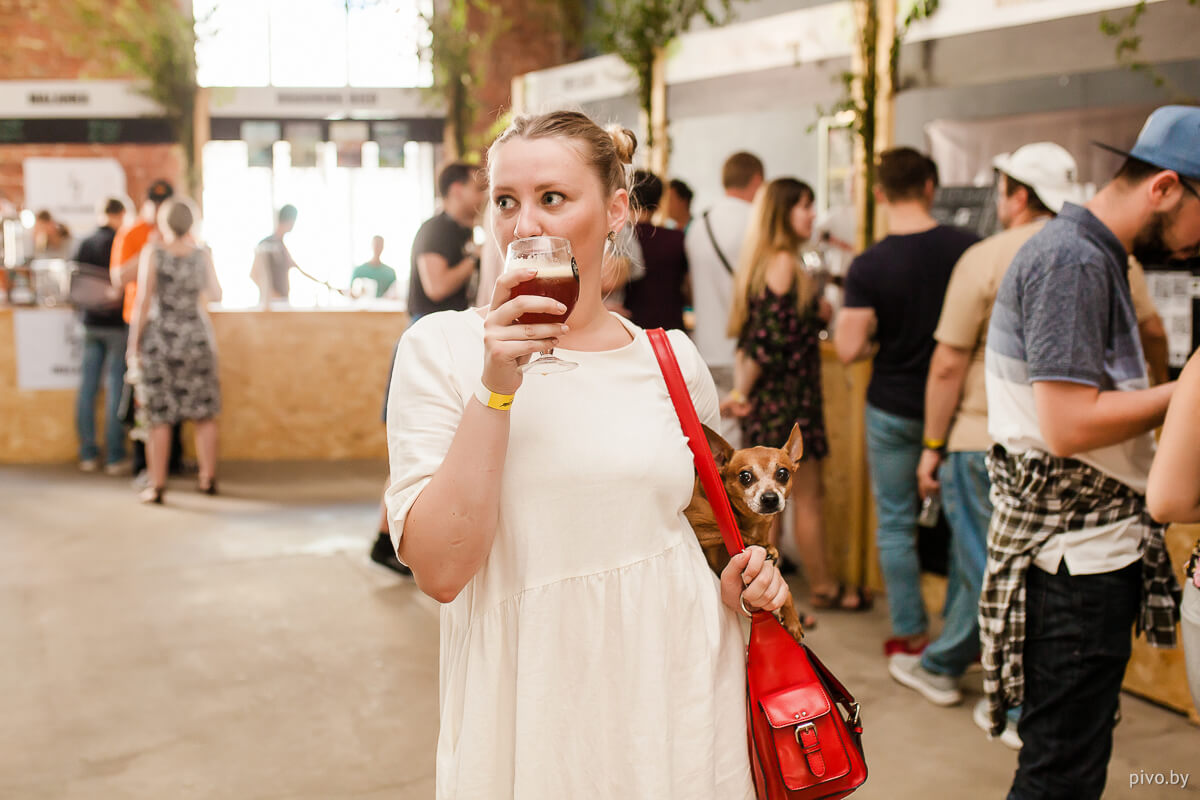 Beer’n’Cider Fest 2019