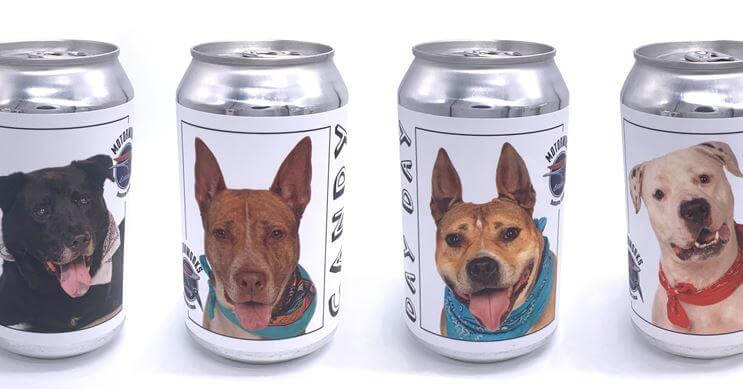 Motorworks Brewing — Cruiser Golden Lager