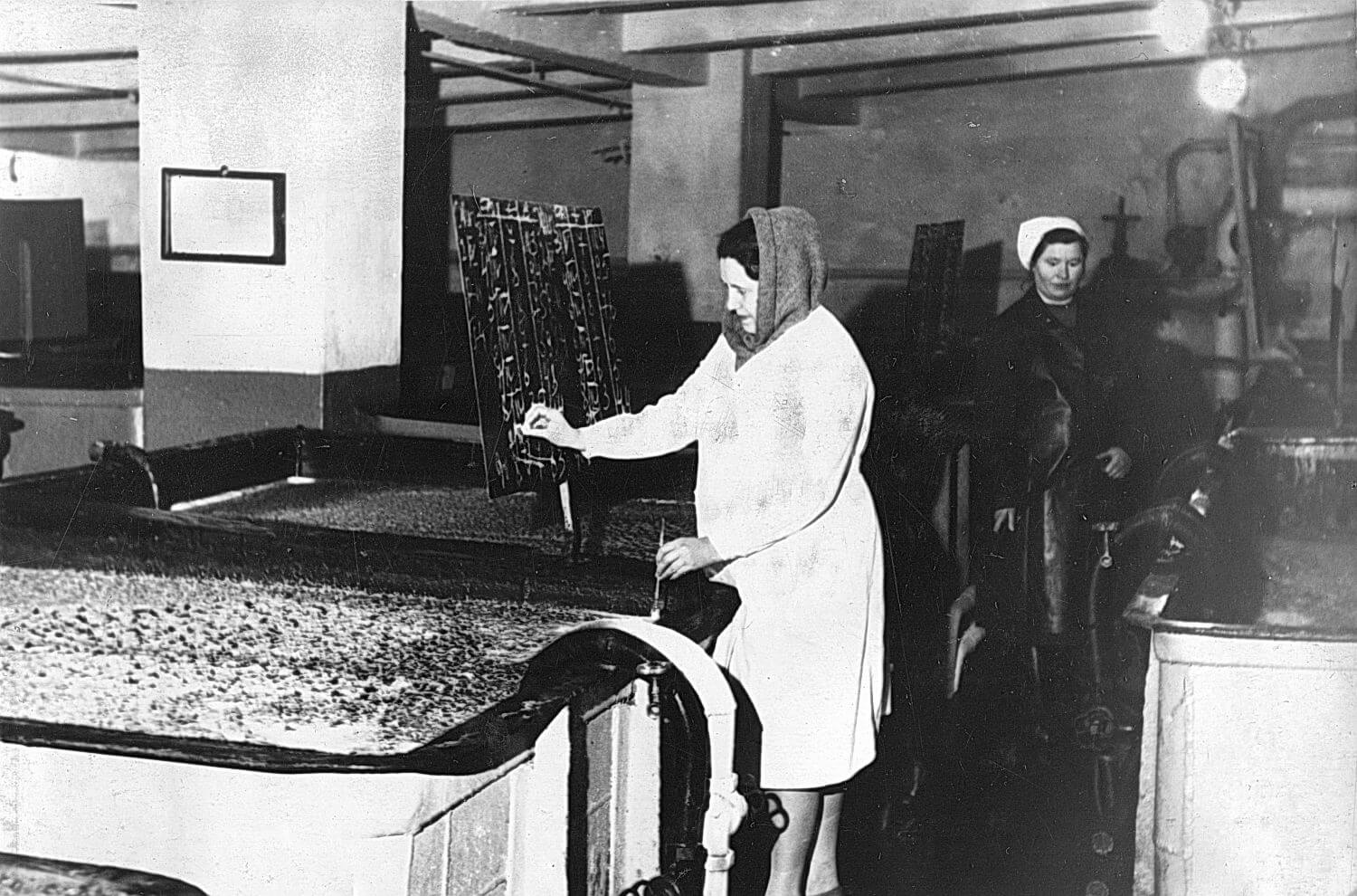 Витебский пивзавод в 1967 году