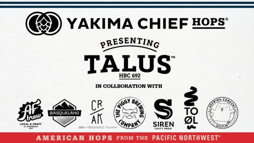 Презентация хмеля Talus в Европе